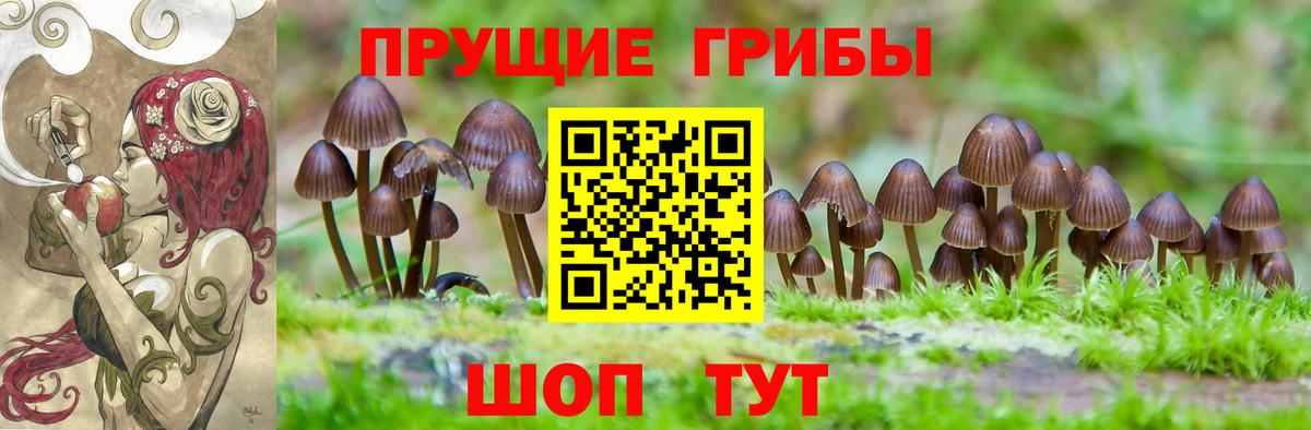 Галлюциногенные грибы GOLDEN TEACHER Барнаул